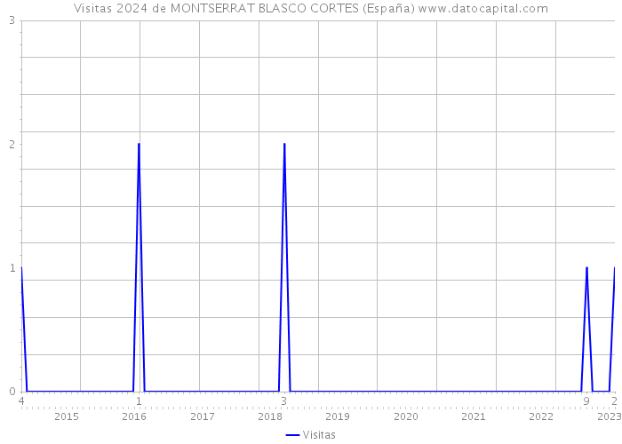 Visitas 2024 de MONTSERRAT BLASCO CORTES (España) 