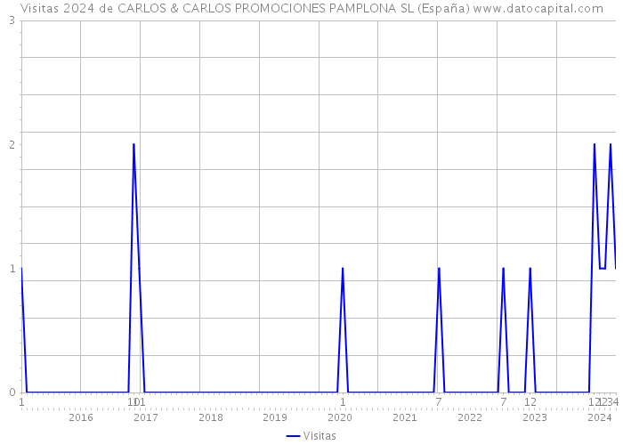 Visitas 2024 de CARLOS & CARLOS PROMOCIONES PAMPLONA SL (España) 