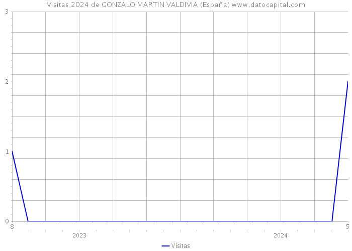 Visitas 2024 de GONZALO MARTIN VALDIVIA (España) 