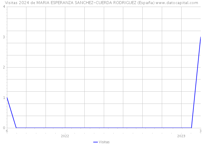 Visitas 2024 de MARIA ESPERANZA SANCHEZ-CUERDA RODRIGUEZ (España) 