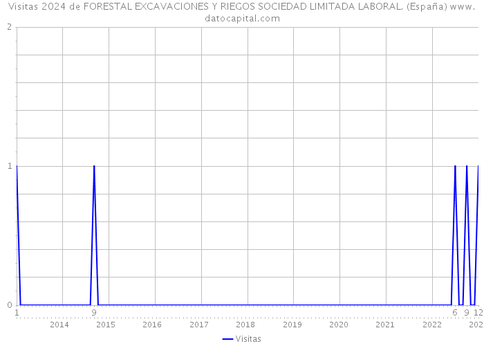 Visitas 2024 de FORESTAL EXCAVACIONES Y RIEGOS SOCIEDAD LIMITADA LABORAL. (España) 
