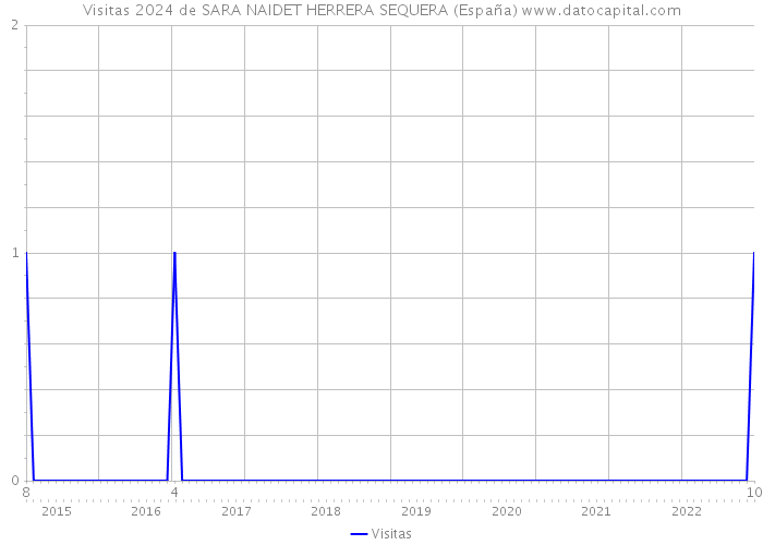 Visitas 2024 de SARA NAIDET HERRERA SEQUERA (España) 