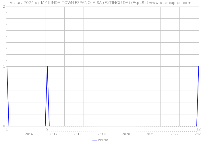 Visitas 2024 de MY KINDA TOWN ESPANOLA SA (EXTINGUIDA) (España) 
