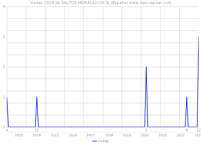 Visitas 2024 de SALTOS HIDRAULICOS SL (España) 
