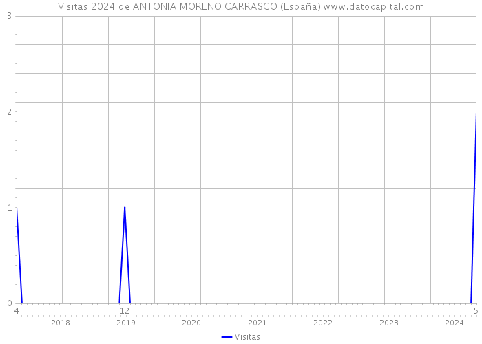 Visitas 2024 de ANTONIA MORENO CARRASCO (España) 