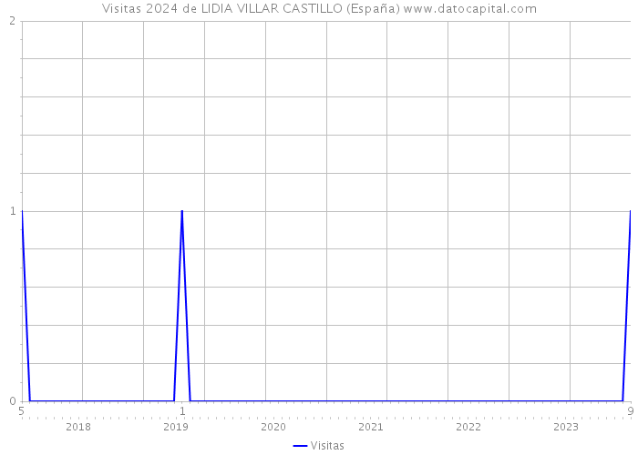 Visitas 2024 de LIDIA VILLAR CASTILLO (España) 