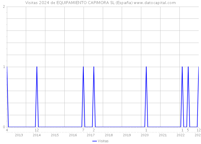 Visitas 2024 de EQUIPAMIENTO CAPIMORA SL (España) 