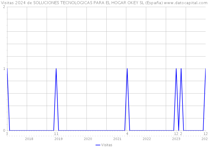 Visitas 2024 de SOLUCIONES TECNOLOGICAS PARA EL HOGAR OKEY SL (España) 