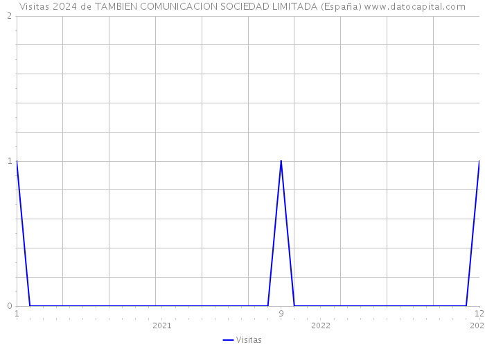 Visitas 2024 de TAMBIEN COMUNICACION SOCIEDAD LIMITADA (España) 