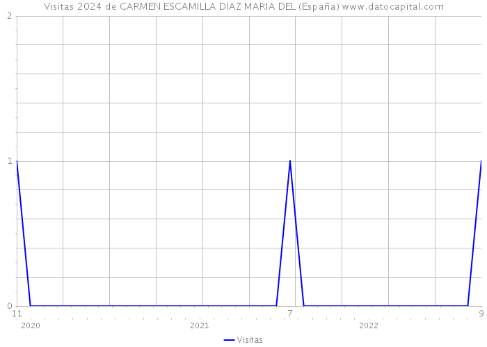 Visitas 2024 de CARMEN ESCAMILLA DIAZ MARIA DEL (España) 