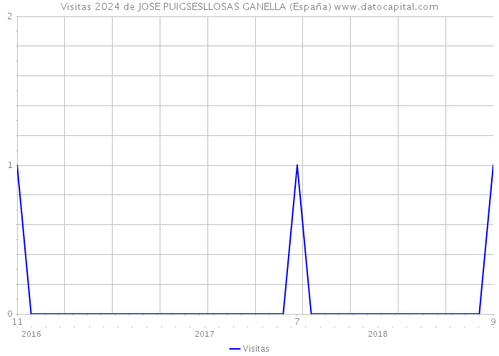 Visitas 2024 de JOSE PUIGSESLLOSAS GANELLA (España) 