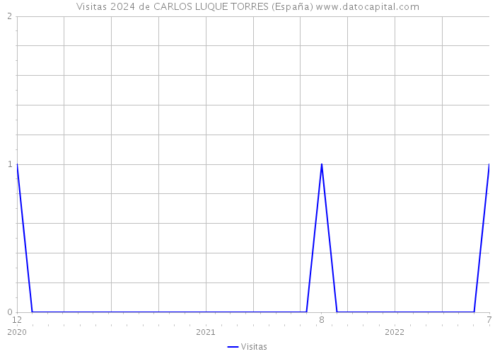 Visitas 2024 de CARLOS LUQUE TORRES (España) 