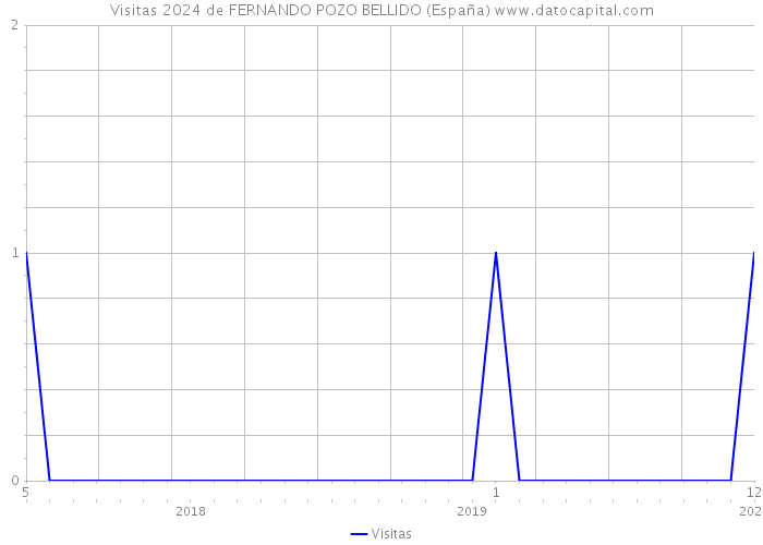 Visitas 2024 de FERNANDO POZO BELLIDO (España) 