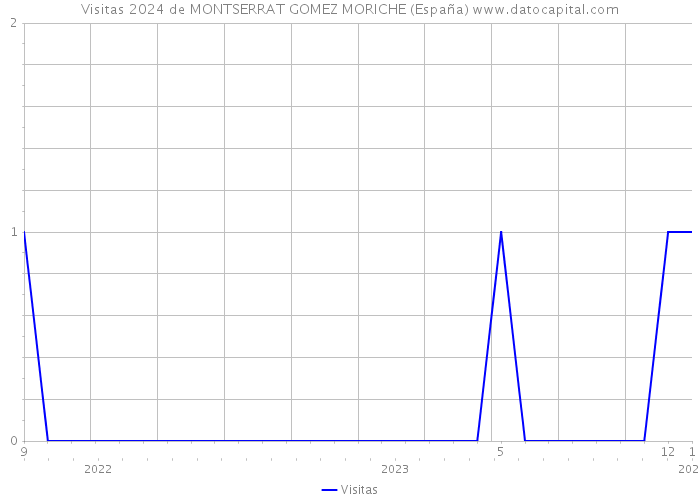 Visitas 2024 de MONTSERRAT GOMEZ MORICHE (España) 