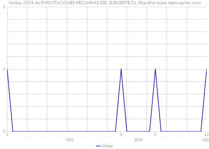 Visitas 2024 de EXPLOTACIONES PECUARIAS DEL SUROESTE S.L (España) 