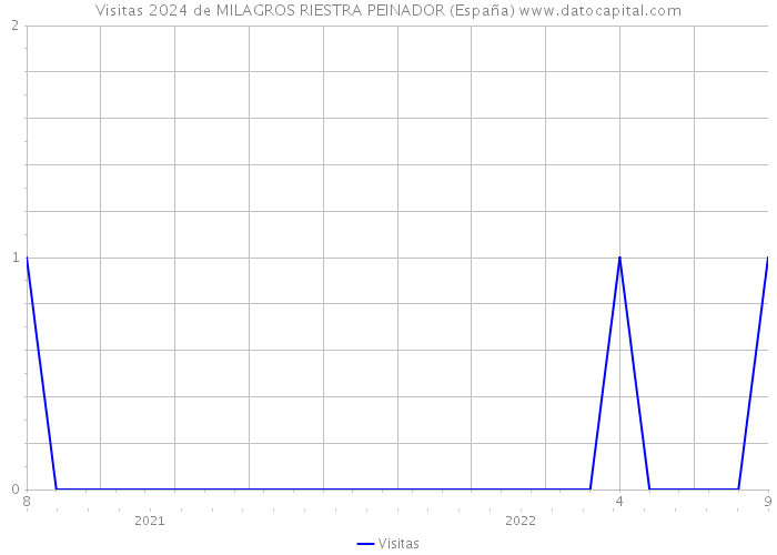 Visitas 2024 de MILAGROS RIESTRA PEINADOR (España) 