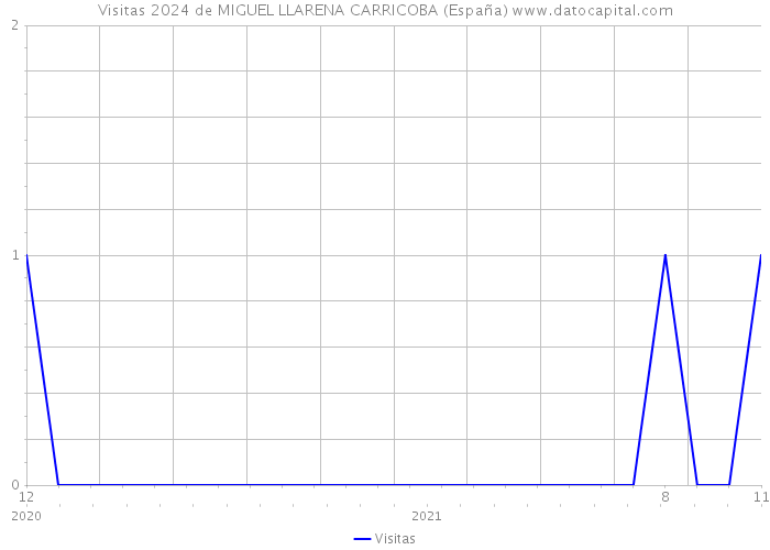 Visitas 2024 de MIGUEL LLARENA CARRICOBA (España) 
