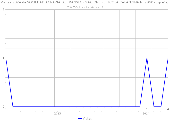 Visitas 2024 de SOCIEDAD AGRARIA DE TRANSFORMACION FRUTICOLA CALANDINA N. 2960 (España) 