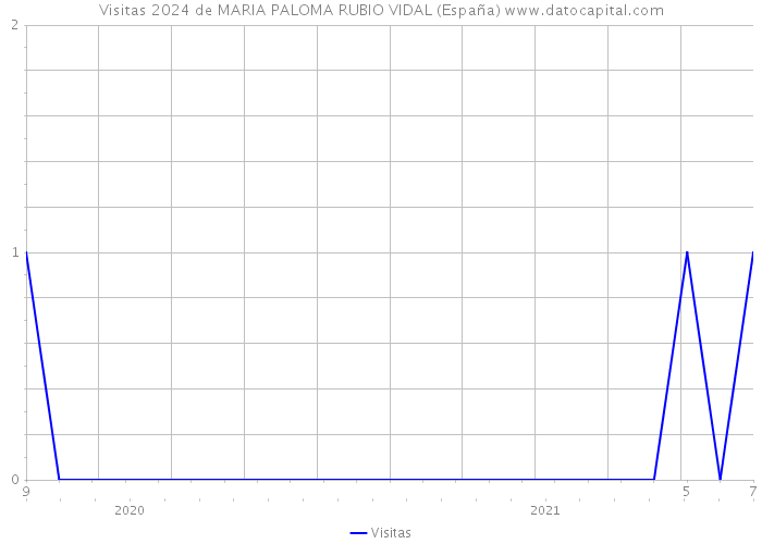 Visitas 2024 de MARIA PALOMA RUBIO VIDAL (España) 