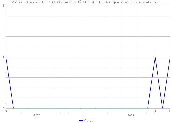 Visitas 2024 de PURIFICACION GARCINUÑO DE LA IGLESIA (España) 