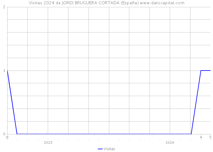 Visitas 2024 de JORDI BRUGUERA CORTADA (España) 