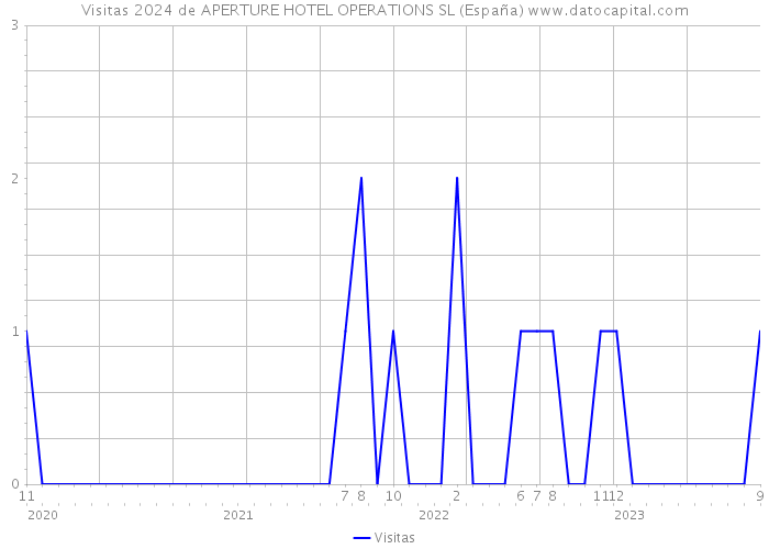 Visitas 2024 de APERTURE HOTEL OPERATIONS SL (España) 