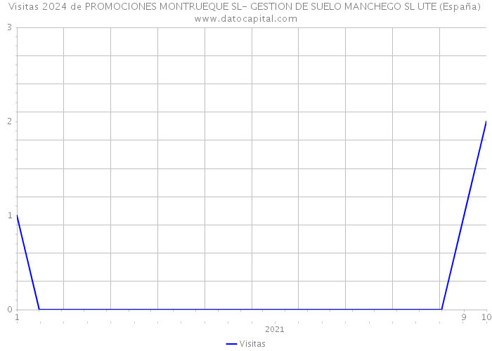 Visitas 2024 de PROMOCIONES MONTRUEQUE SL- GESTION DE SUELO MANCHEGO SL UTE (España) 