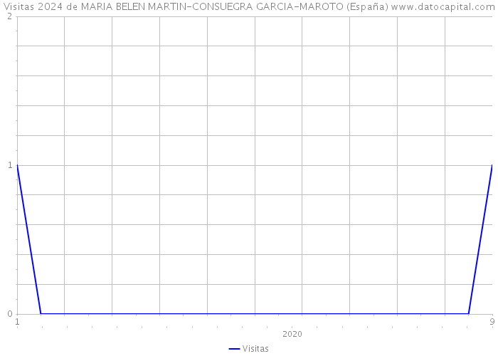 Visitas 2024 de MARIA BELEN MARTIN-CONSUEGRA GARCIA-MAROTO (España) 