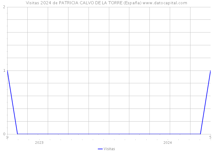 Visitas 2024 de PATRICIA CALVO DE LA TORRE (España) 