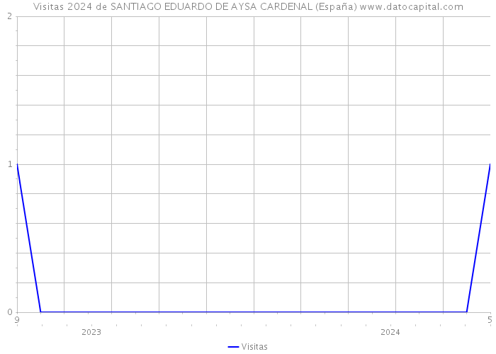 Visitas 2024 de SANTIAGO EDUARDO DE AYSA CARDENAL (España) 