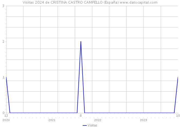 Visitas 2024 de CRISTINA CASTRO CAMPELLO (España) 