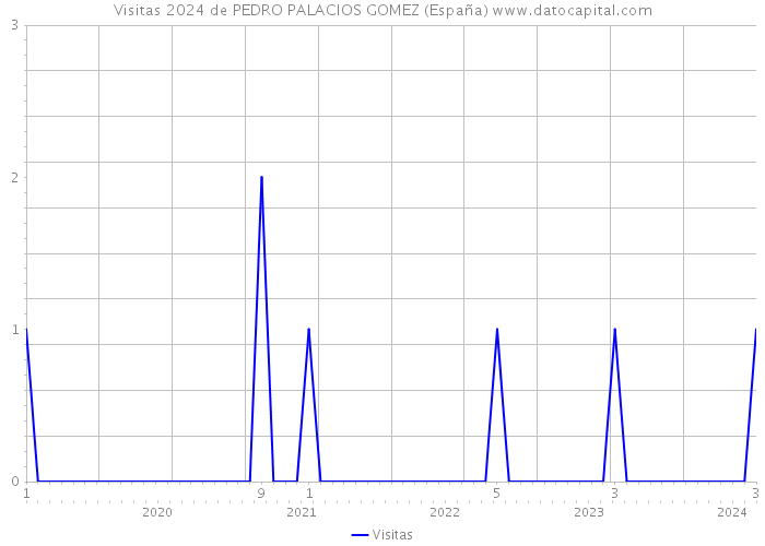 Visitas 2024 de PEDRO PALACIOS GOMEZ (España) 