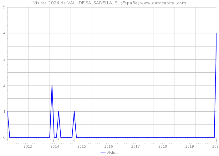 Visitas 2024 de VALL DE SALSADELLA, SL (España) 