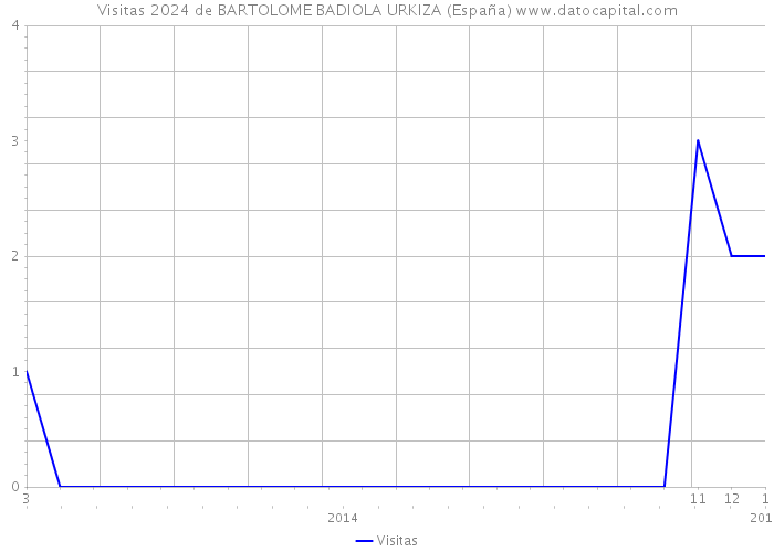 Visitas 2024 de BARTOLOME BADIOLA URKIZA (España) 