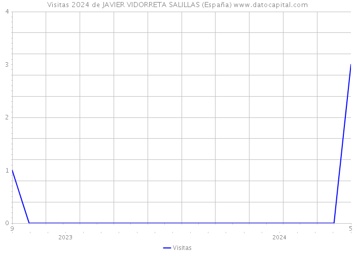 Visitas 2024 de JAVIER VIDORRETA SALILLAS (España) 