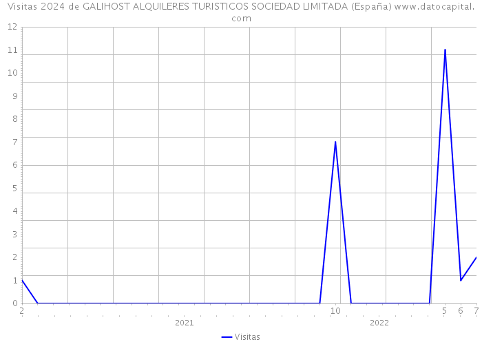 Visitas 2024 de GALIHOST ALQUILERES TURISTICOS SOCIEDAD LIMITADA (España) 