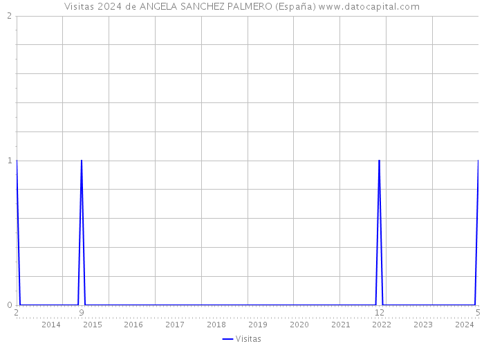 Visitas 2024 de ANGELA SANCHEZ PALMERO (España) 