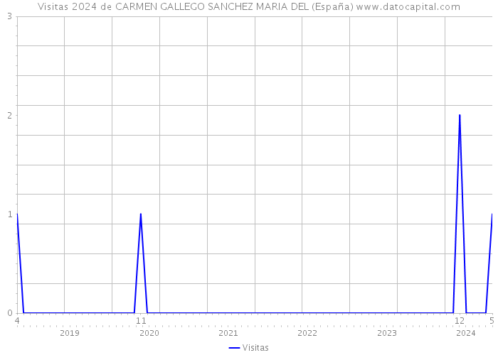 Visitas 2024 de CARMEN GALLEGO SANCHEZ MARIA DEL (España) 