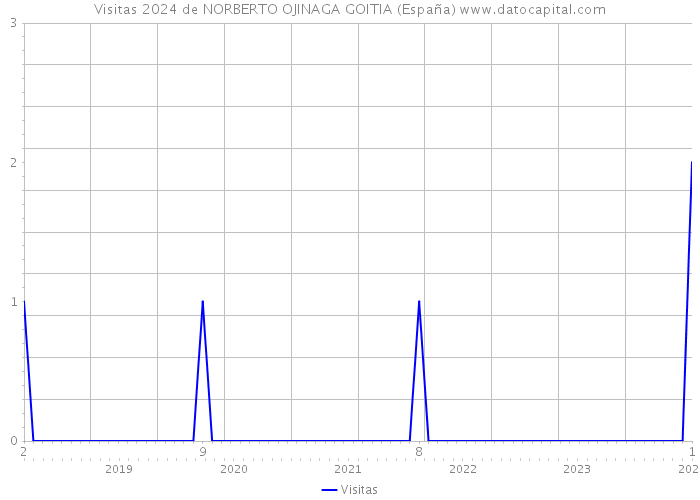 Visitas 2024 de NORBERTO OJINAGA GOITIA (España) 