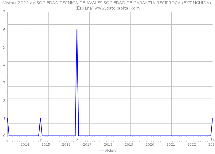 Visitas 2024 de SOCIEDAD TECNICA DE AVALES SOCIEDAD DE GARANTIA RECIPROCA (EXTINGUIDA) (España) 