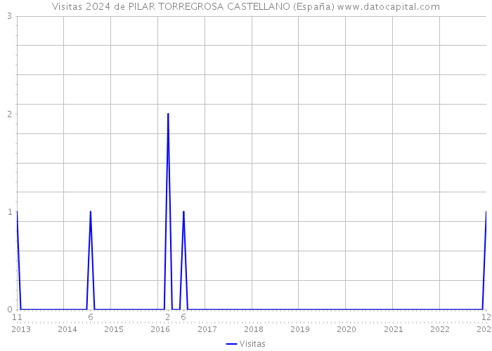 Visitas 2024 de PILAR TORREGROSA CASTELLANO (España) 