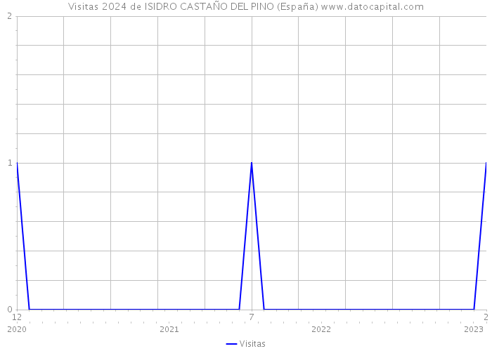 Visitas 2024 de ISIDRO CASTAÑO DEL PINO (España) 