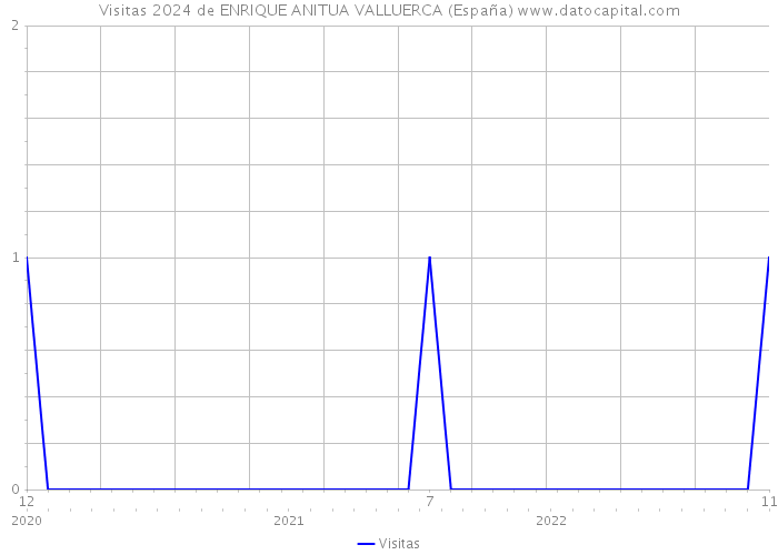Visitas 2024 de ENRIQUE ANITUA VALLUERCA (España) 