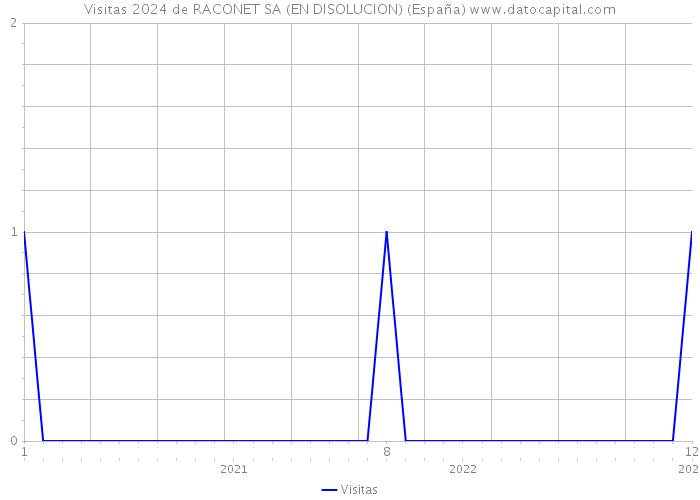 Visitas 2024 de RACONET SA (EN DISOLUCION) (España) 