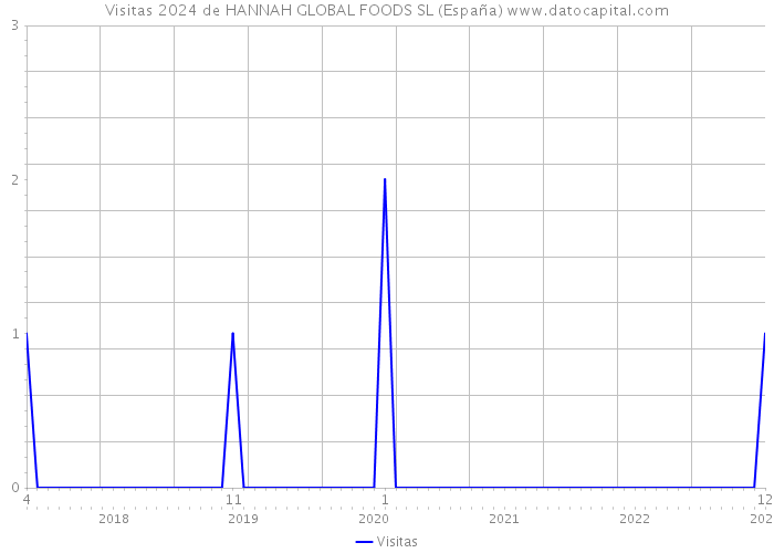 Visitas 2024 de HANNAH GLOBAL FOODS SL (España) 