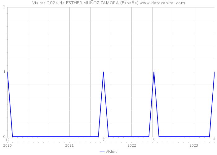 Visitas 2024 de ESTHER MUÑOZ ZAMORA (España) 