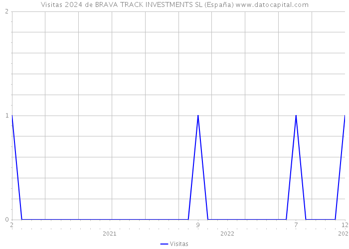 Visitas 2024 de BRAVA TRACK INVESTMENTS SL (España) 