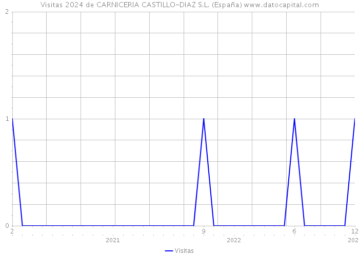 Visitas 2024 de CARNICERIA CASTILLO-DIAZ S.L. (España) 