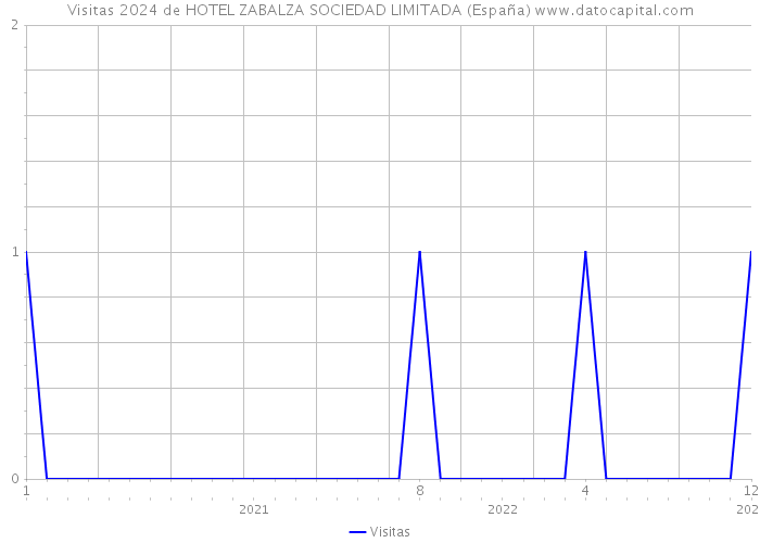 Visitas 2024 de HOTEL ZABALZA SOCIEDAD LIMITADA (España) 