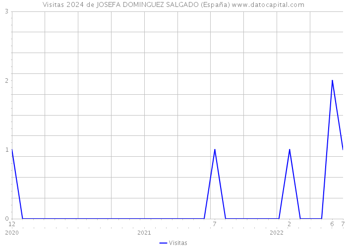 Visitas 2024 de JOSEFA DOMINGUEZ SALGADO (España) 